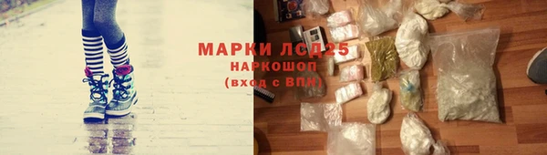 таблы Бородино