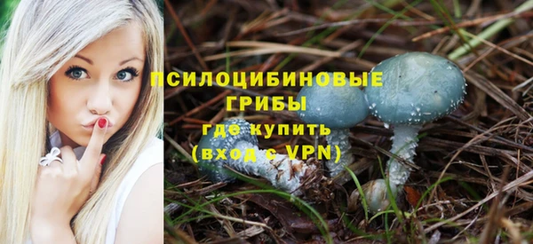 2c-b Бронницы