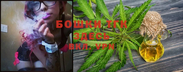 стафф Верхний Тагил