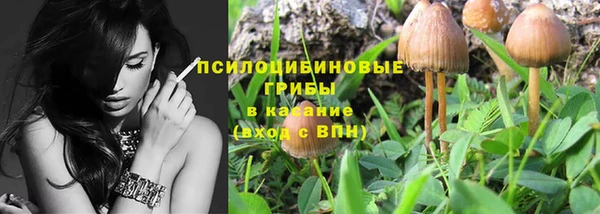 таблы Бородино