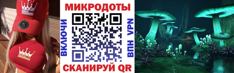 купить цена Кизел Галлюциногенные грибы MAGIC MUSHROOMS
